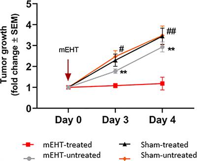 Modulated Electro-Hyperthermia Facilitates NK-Cell Infiltration and Growth Arrest of Human A2058 Melanoma in a Xenograft Model